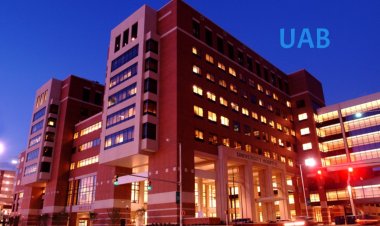 Alabama's Most Prominent Hospital Accused of Organ Harvesting