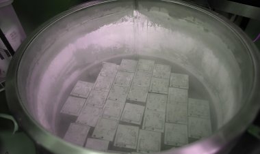 Alabama Supreme Court Refuses to Reconsider Controversial Frozen Embryo Decision