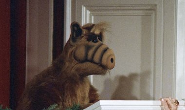 1980s Sitcom Star Benji Gregory Found Dead Alongside Service Dog