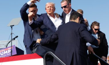A 20-year-old from a Pittsburgh suburb has been identified as the shooter in the apparent assassination attempt on former President Donald Trump.