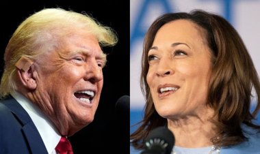 Harris vs. Trump: Latest Presidential Polls Show a Tightening Race