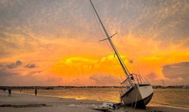 Tragic Loss in Boca Ciega Bay: Man and Dog Ride Out Hurricane Debby
