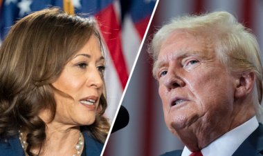 Cook Political Report shifts Arizona, Georgia, Nevada toward Harris