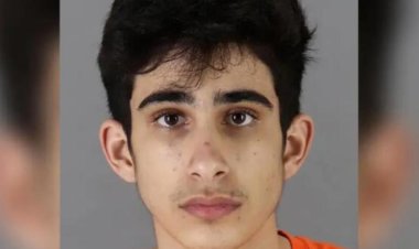 Driver who intentionally ran over Burlingame children sentenced