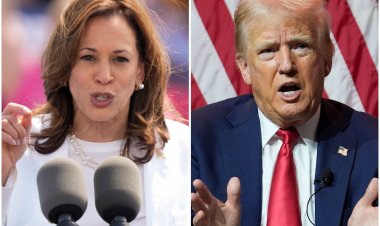 Harris vs. Trump: Who's Ahead in the Presidential Race? Latest Poll Insights