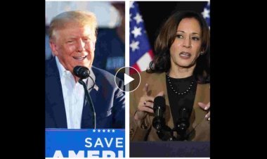 Latest Harris-Trump poll highlights danger for former president in Florida