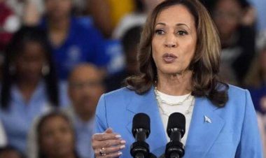 Harris says in fundraising email she ate ‘a family-sized bag of nacho Doritos’ on night of Trump election