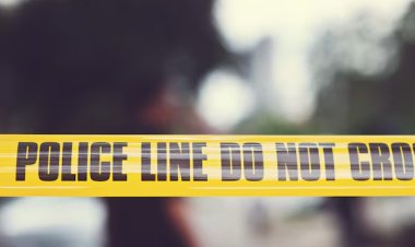 Body Found in Northport Woods: Investigation in Progress