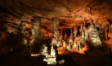 Discover 4 Stunning Caves in Alabama That Will Leave You Breathless
