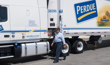 Major Chicken Brand Issues Recall Over Potential Metal Contamination: Full Product List Inside