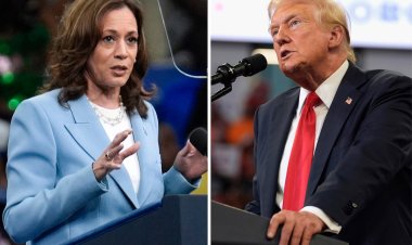Harris Expands Lead Over Trump in Latest Poll