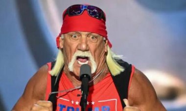 Hulk Hogan proves that Trumpworld can't resist attacking Kamala Harris' racial identity
