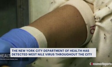 NYC Health Department says West Nile virus has been detected in all five boroughs