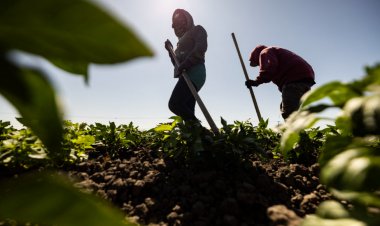 California Legislators Say New Laws Must Protect Farmworkers From Extreme Heat