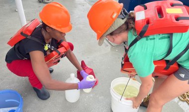 Dead Zone Off Alabama Coast is Bigger Than Rhode Island This Year