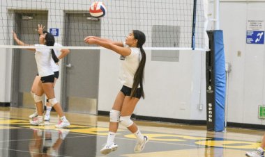 Wilcox Volleyball to Lean on Defense in 2024