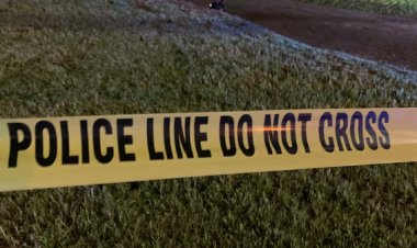 Tragic Domestic Shooting in Dothan, Alabama: Mother Killed, Ex-Boyfriend Jailed