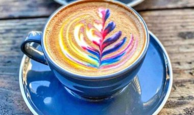 8 unique cafes in San Jose