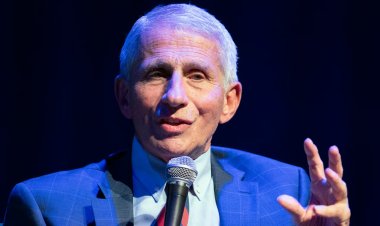 Dr. Fauci Recovering from West Nile Virus After Hospitalization: What You Need to Know