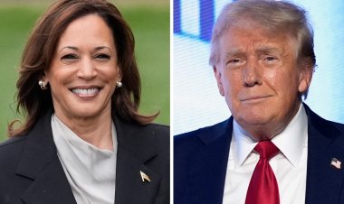 Who’s Leading in the Presidential Race? Kamala Harris vs. Donald Trump Poll Results