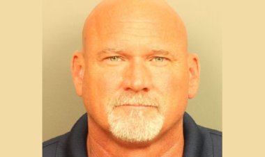 A former Homewood City Councilman in Alabama has pleaded guilty to a child sex abuse charge.
