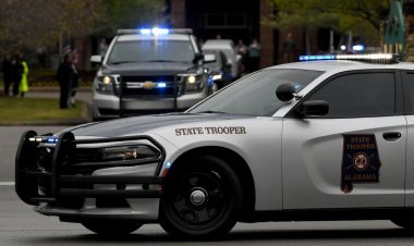 Tragic Alabama Crash: One Killed After Truck Hits Tree in Franklin County
