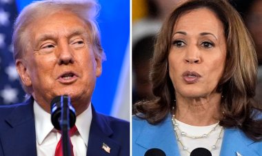 Betting Sites Show Surprising Odds for Kamala Harris vs. Donald Trump in 2024 Election