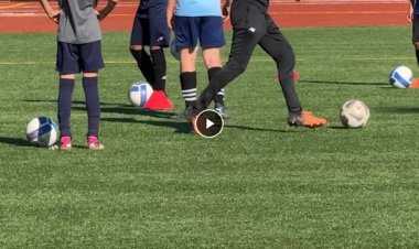 Should artificial turf be banned? Sunnyvale supporters and opponents speak out as city discusses
