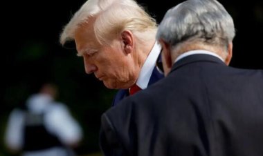 Trump's social media stock is tanking. Here are 2 possible reasons.
