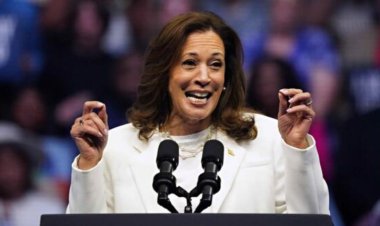 Harris campaign to launch 50-stop reproductive rights bus tour