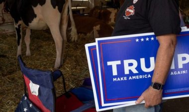 How Liberal Pollsters Are Recreating The 2016 Wave Of Silent Trump Voters