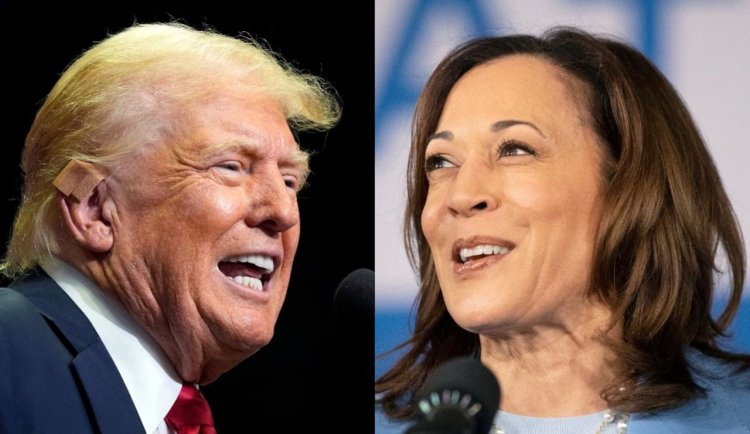 Harris vs. Trump: Latest Presidential Polls Show a Tightening Race