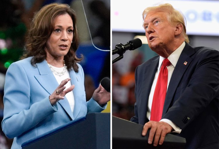 Harris vs. Trump: Poll Shows Significant Shift in 2024 Presidential Race