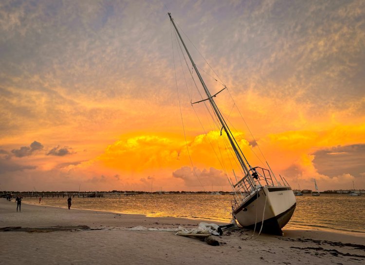 Tragic Loss in Boca Ciega Bay: Man and Dog Ride Out Hurricane Debby