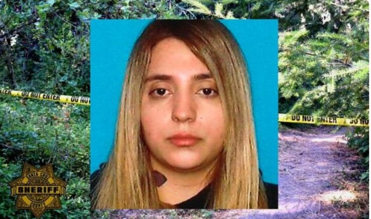 Missing mother found dead in Santa Cruz Mountains, daughter rescued