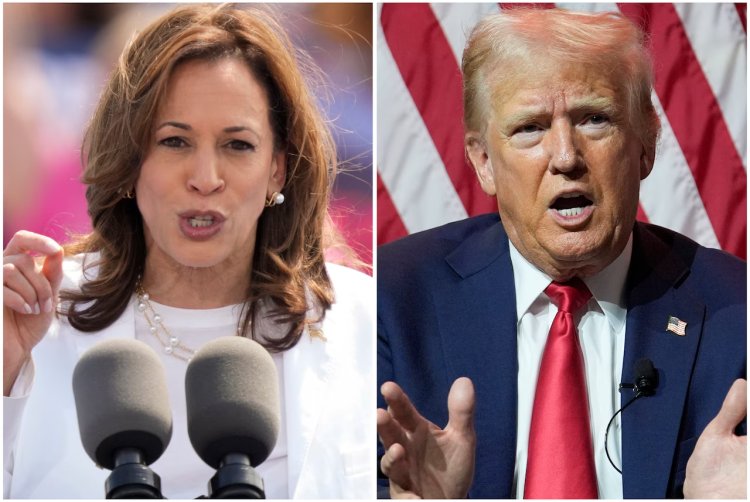 Harris vs. Trump: Who's Ahead in the Presidential Race? Latest Poll Insights