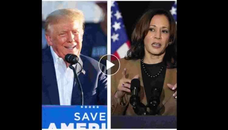 Latest Harris-Trump poll highlights danger for former president in Florida