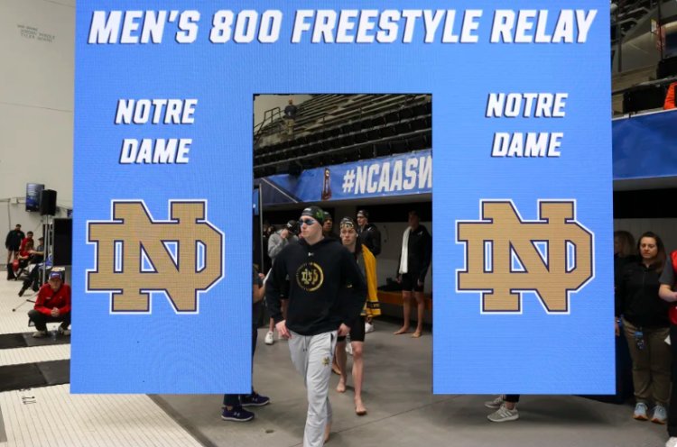 Notre Dame suspends men's swimming program for at least a year after gambling violations