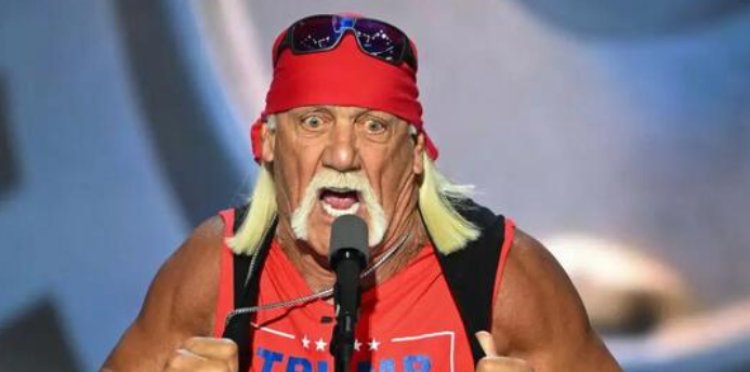 Hulk Hogan proves that Trumpworld can't resist attacking Kamala Harris' racial identity