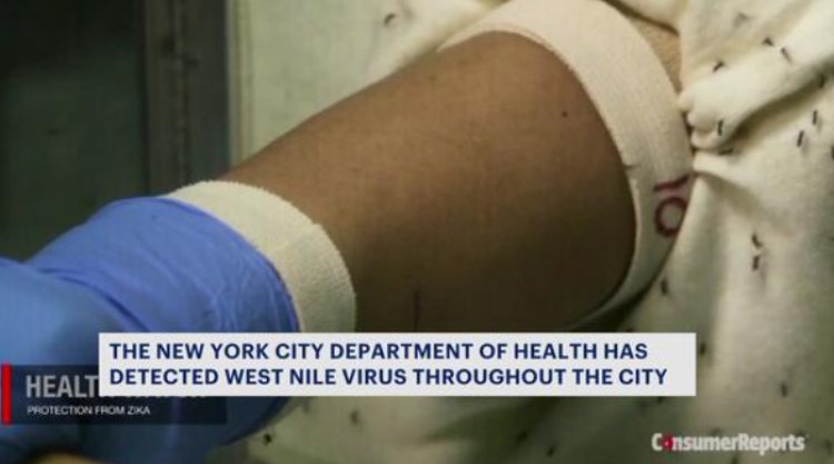 NYC Health Department says West Nile virus has been detected in all five boroughs