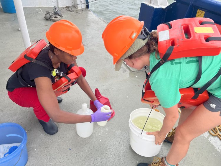 Dead Zone Off Alabama Coast is Bigger Than Rhode Island This Year