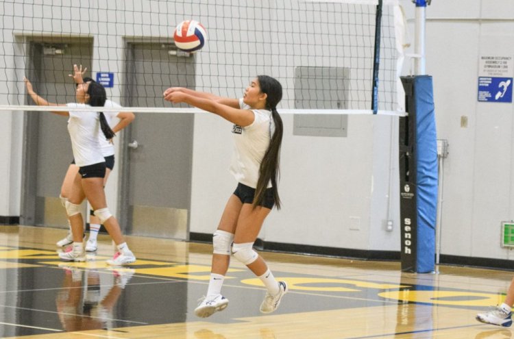 Wilcox Volleyball to Lean on Defense in 2024