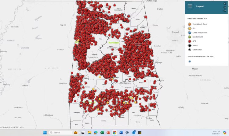 Southern Pine Beetle Infestation Threatens Alabama Forests