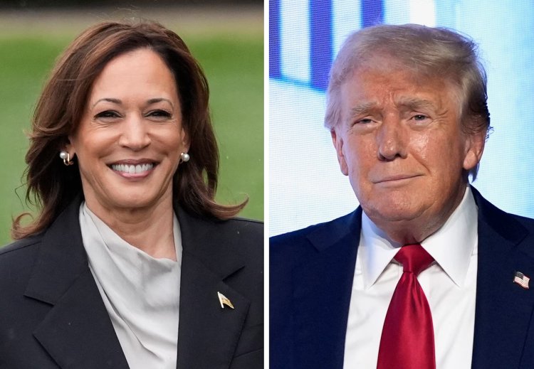 Who’s Leading in the Presidential Race? Kamala Harris vs. Donald Trump Poll Results