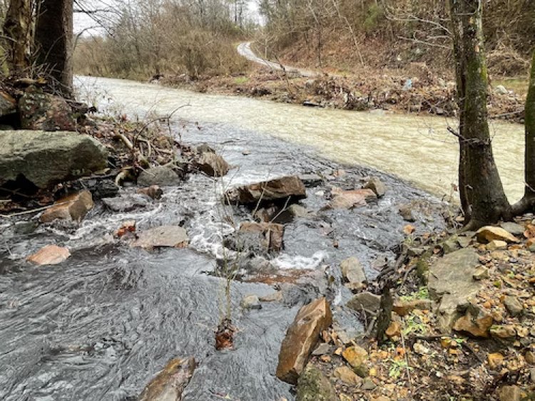 West Virginia Governor's Son Held in Contempt Over Alabama Pollution Lawsuit: Court Orders Compliance