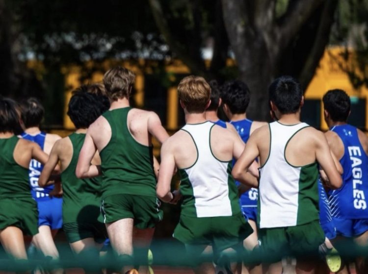 Cross Country Season Preview 2024