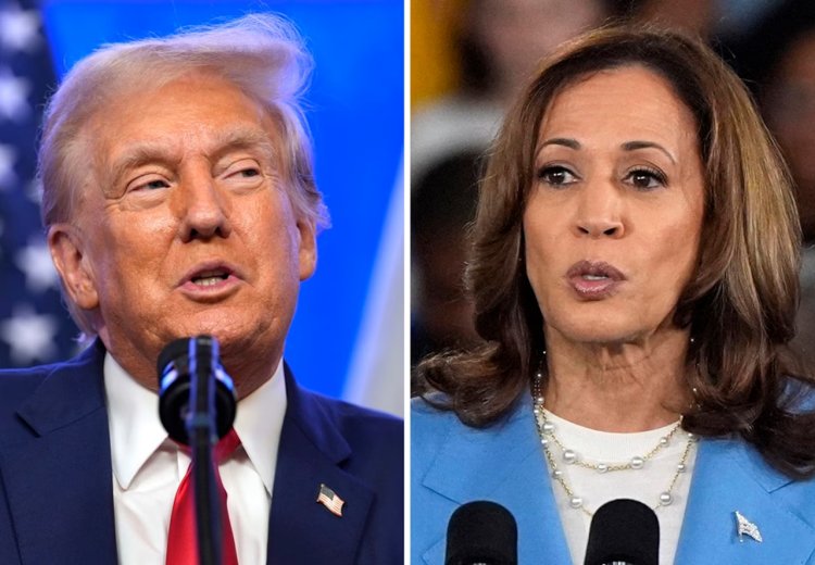 Betting Sites Show Surprising Odds for Kamala Harris vs. Donald Trump in 2024 Election