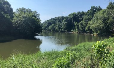 Five Years After Tyson Farms Wastewater Spill, River Life Struggles to Recover in Alabama