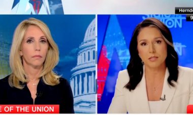 ‘Has Not Made Any Effort’: Gabbard Calls Out Harris For Skipping Arlington, Says Trump Team Was ‘Approved’ To Cover