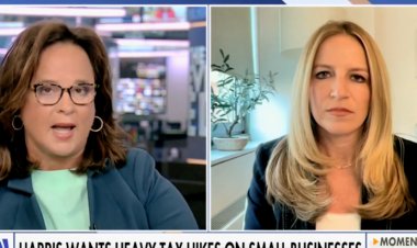 Fox Business Host Tears Into Dem Pollster Who Attempted To Defend Harris’ Economic Plans